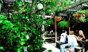 As mesas externas do Le Tub