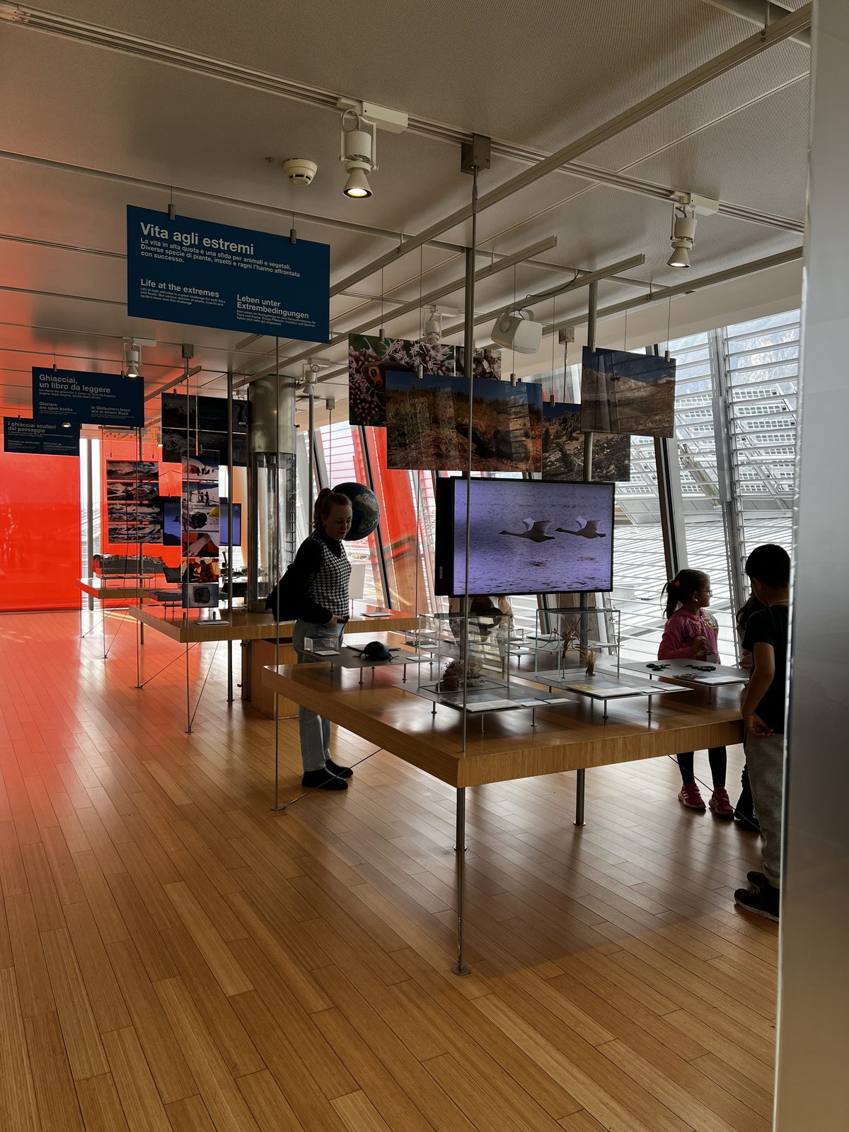Área de exposição interativa no MUSE em Trento