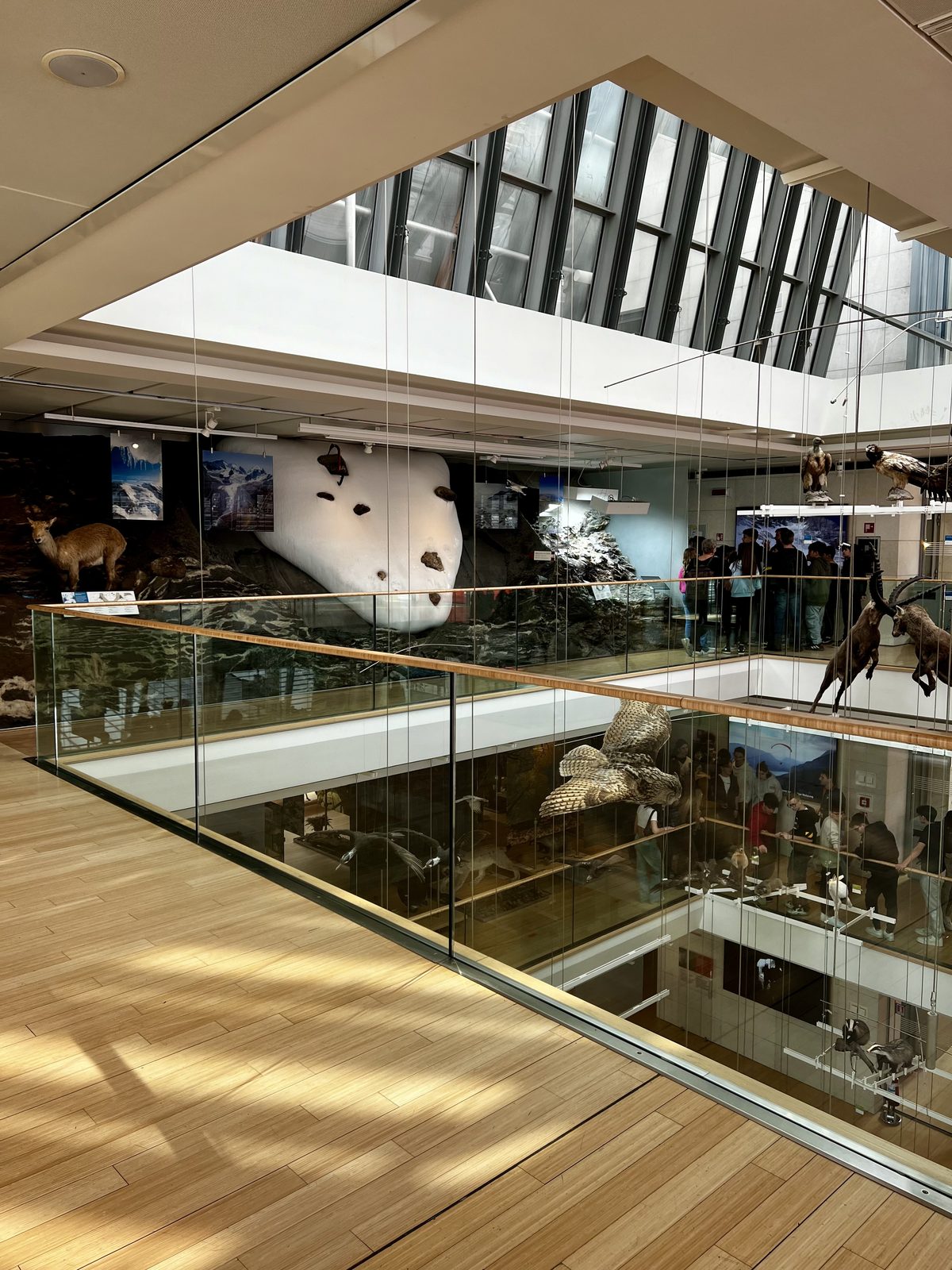 O Grande Vazio do MUSE em Trento com animais taxidermizados suspensos entre os andares